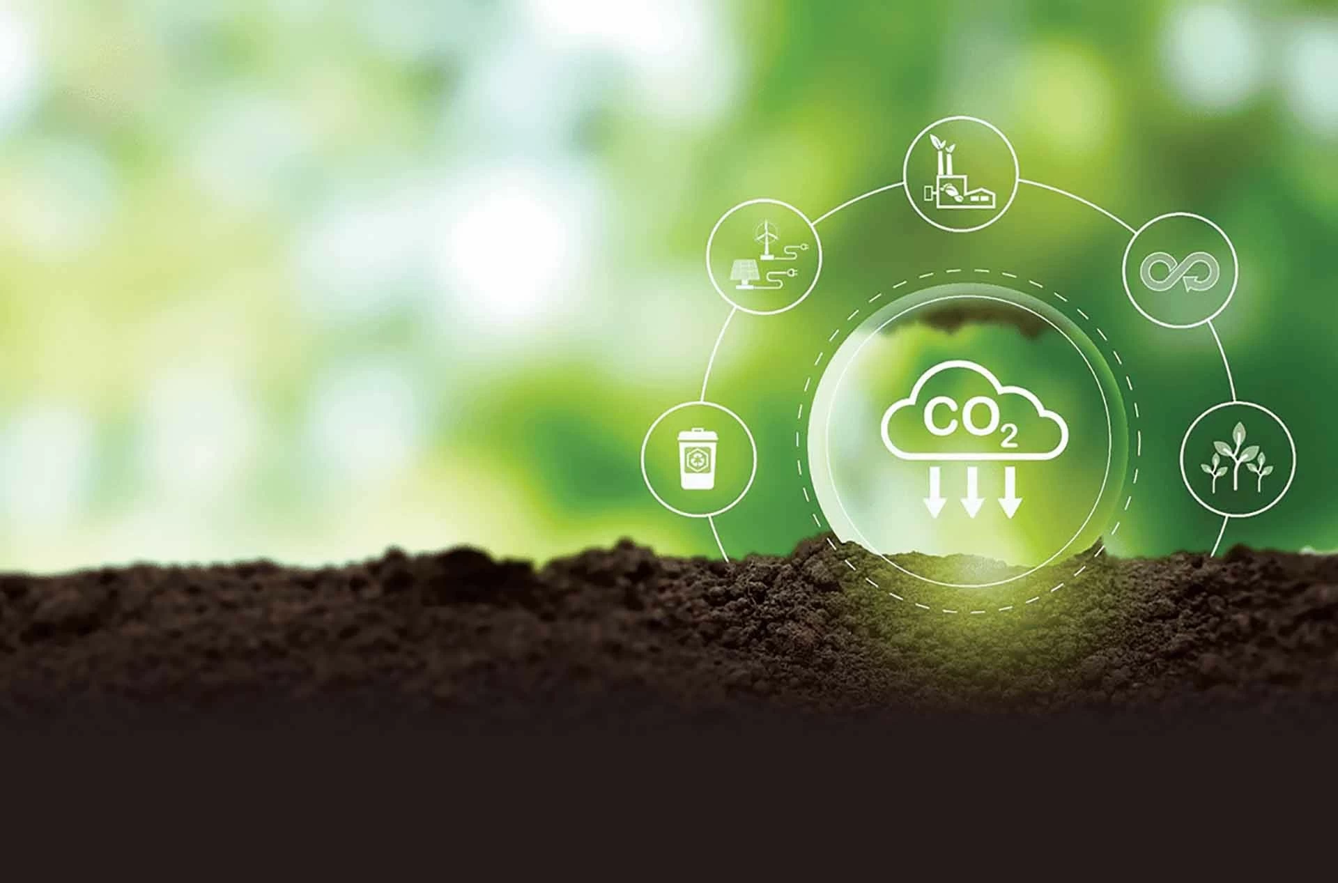 Thị trường tín chỉ carbon: Vì cuộc sống xanh hơn Thị trường tín chỉ carbon: Vì cuộc sống xanh hơn