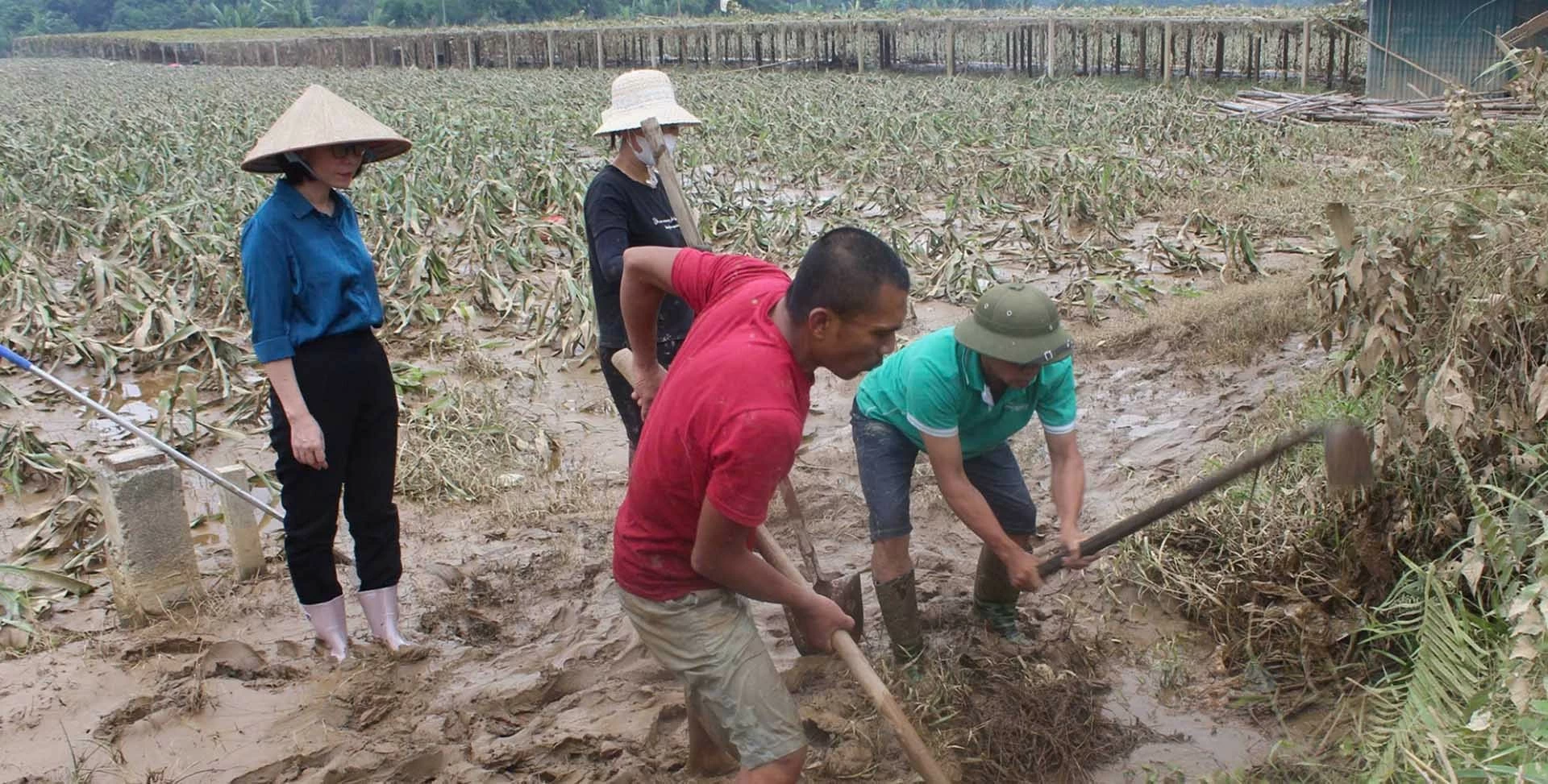 Chính phủ ban hành Nghị quyết về các nhiệm vụ, giải pháp trọng tâm khắc phục hậu quả bão số 3 Chính phủ ban hành Nghị quyết về các nhiệm vụ, giải pháp trọng tâm khắc phục hậu quả bão số 3