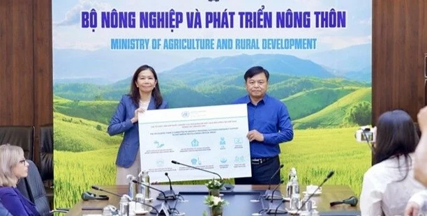 Điều phối viên LHQ tại Việt Nam Điều phối viên LHQ tại Việt Nam