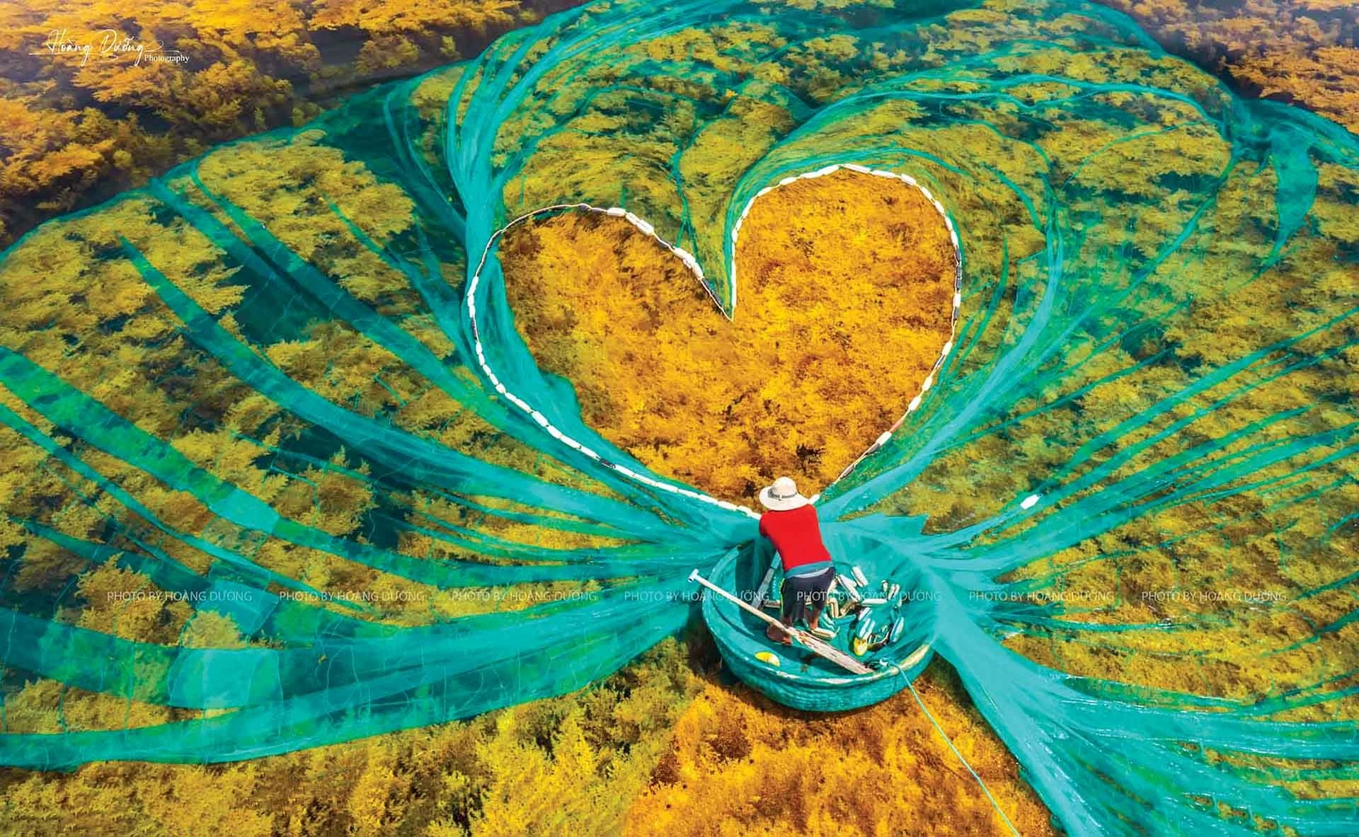 Mùa rong nho ở Nhơn Hải. (Ảnh: Hoàng Dưỡng) Mùa rong nho ở Nhơn Hải. (Ảnh: Hoàng Dưỡng)