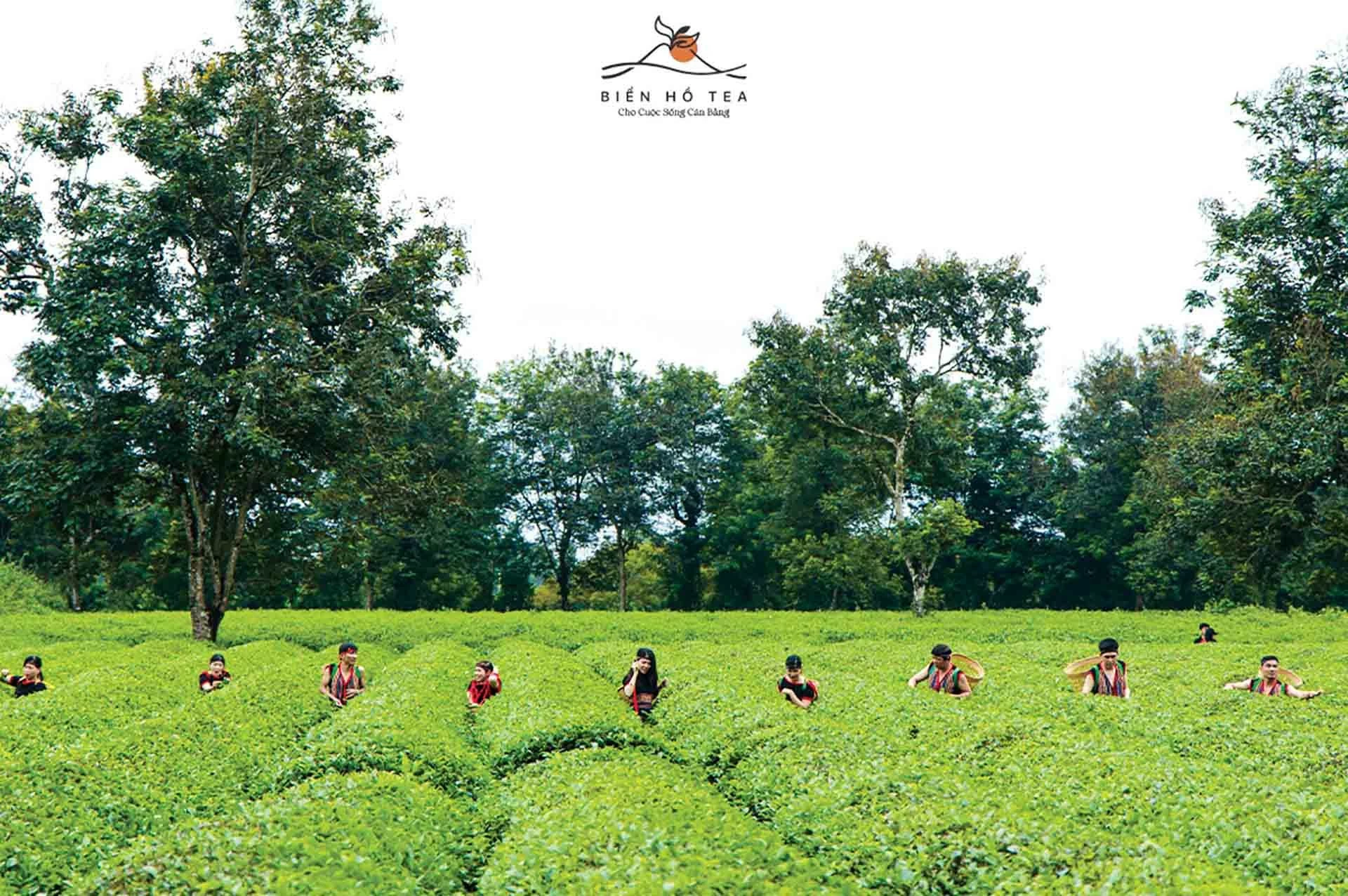 Gia Lai: Quyết tâm khai phá thị trường Halal Gia Lai: Quyết tâm khai phá thị trường Halal