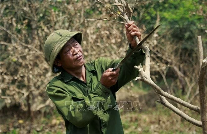 Sôi động Festival Thu Hà Nội lần thứ 2 Sôi động Festival Thu Hà Nội lần thứ 2