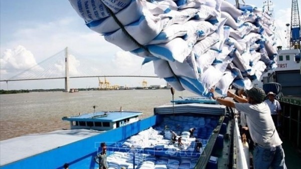 Vietnam exports more than 8.06 million tonnes of rice in 2025, earning over 4.1 billion USD