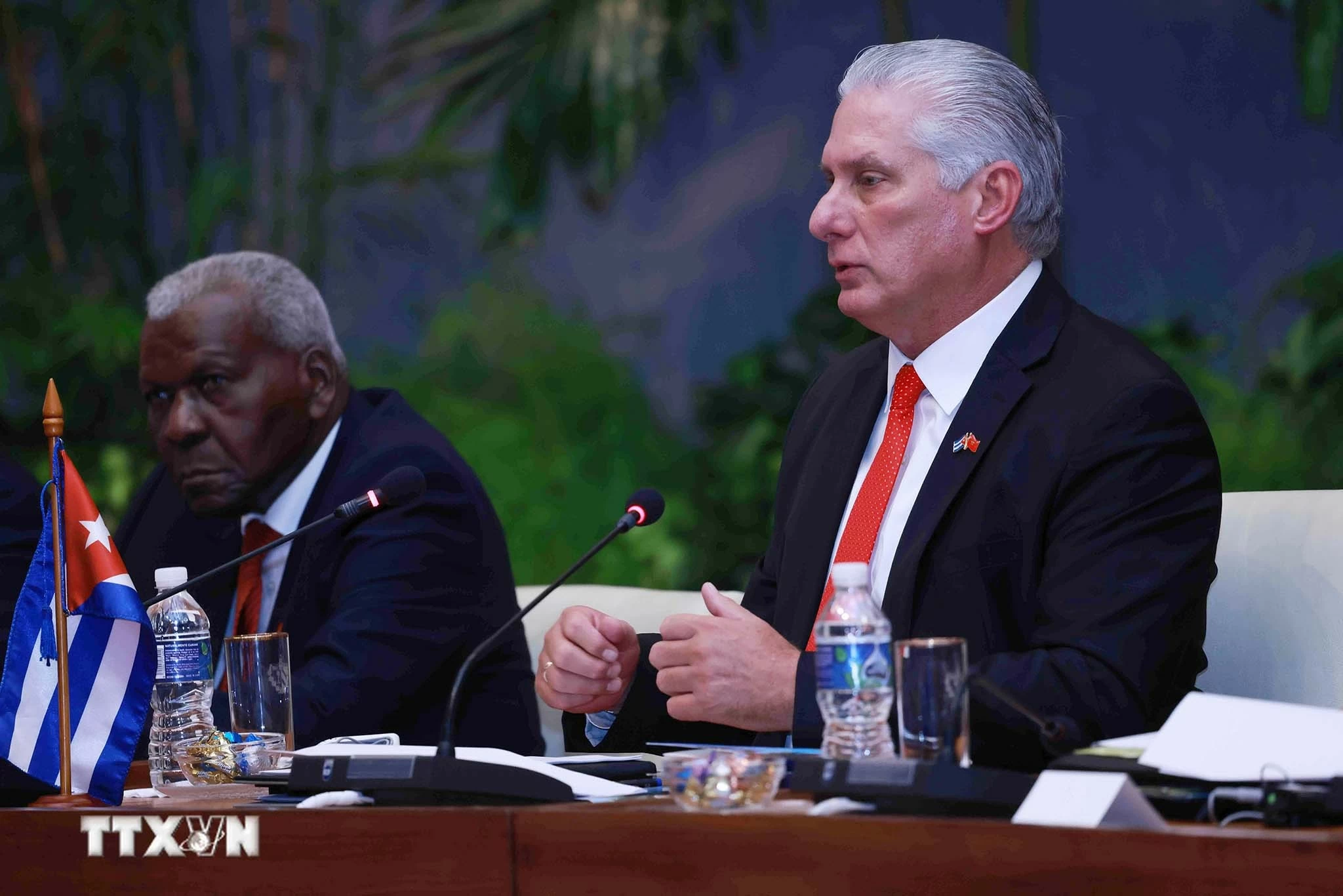 Bí thư thứ nhất Đảng Cộng sản Cuba, Chủ tịch Cuba Miguel Díaz-Canel Bermúdez phát biểu tại cuộc hội đàm với Tổng Bí thư, Chủ tịch nước Tô Lâm. (Nguồn: TTXVN)