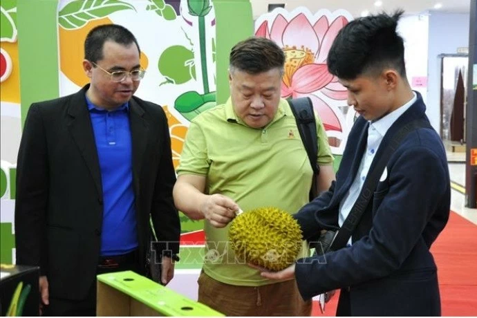 Trái cây Việt Nam 'gây thương nhớ' tại Trung Quốc Trái cây Việt Nam 'gây thương nhớ' tại Trung Quốc
