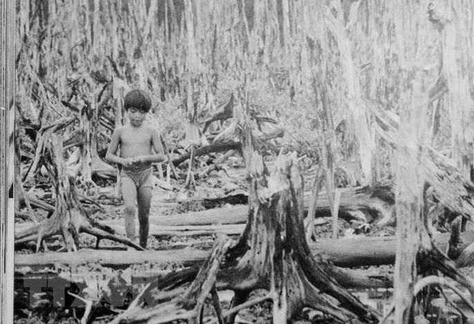 Bảo đảm quyền cho nạn nhân chất độc da cam Bảo đảm quyền cho nạn nhân chất độc da cam