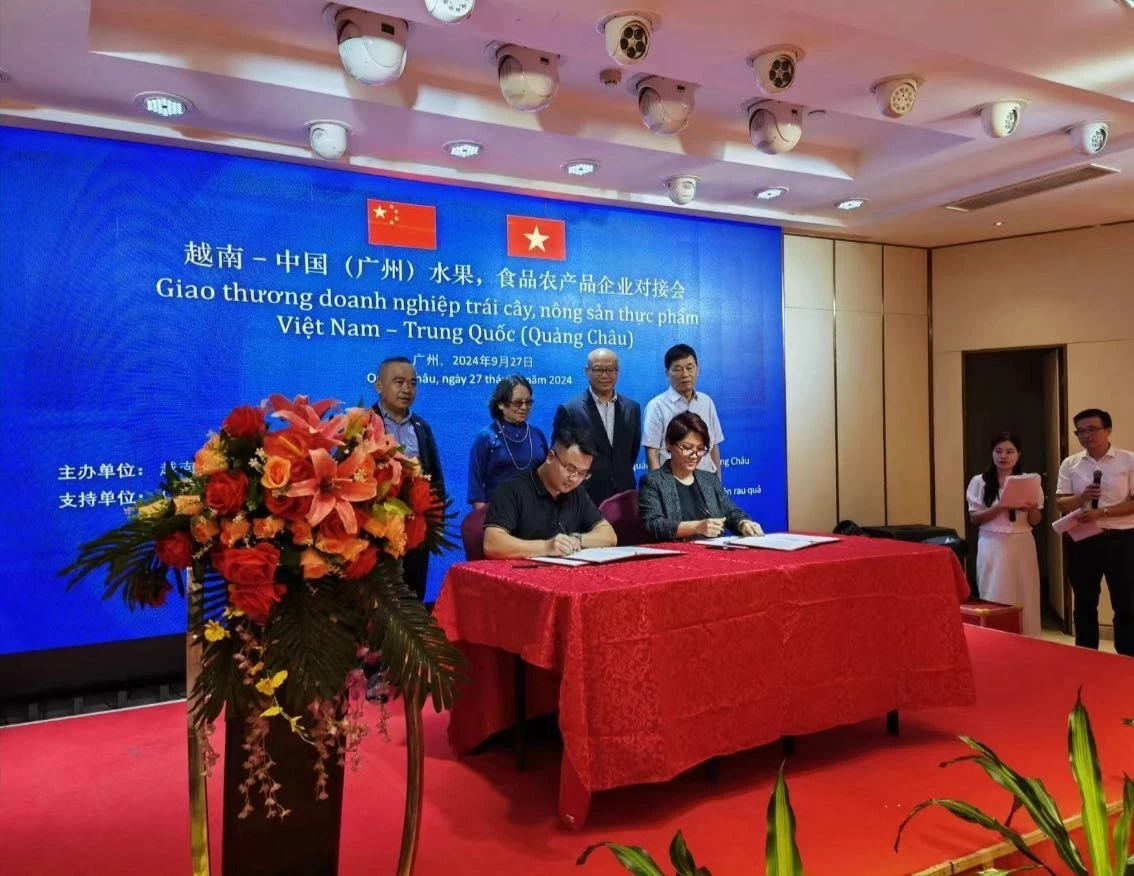Kết nối giao thương doanh nghiệp trái cây, nông sản thực phẩm Việt Nam-Trung Quốc tại Quảng Châu Kết nối giao thương doanh nghiệp trái cây, nông sản thực phẩm Việt Nam-Trung Quốc tại Quảng Châu