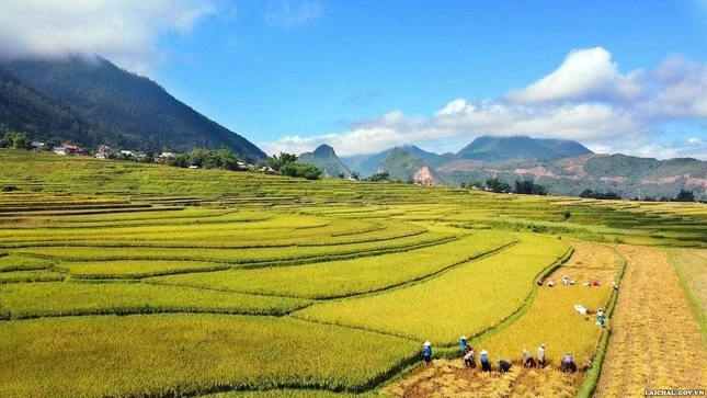 Mỗi màu lúa chín, những thửa ruộng vàng rực trải khắp các sườn đồi, tạo nên khung cảnh thiên nhiên ngoạn mục. Mỗi màu lúa chín, những thửa ruộng vàng rực trải khắp các sườn đồi, tạo nên khung cảnh thiên nhiên ngoạn mục.