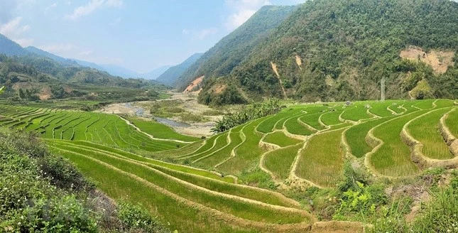 Mường Tè phủ một màu xanh mướt tạo nên một cảnh quan kỳ vỹ mà ít nơi nào có được. Mường Tè phủ một màu xanh mướt tạo nên một cảnh quan kỳ vỹ mà ít nơi nào có được.