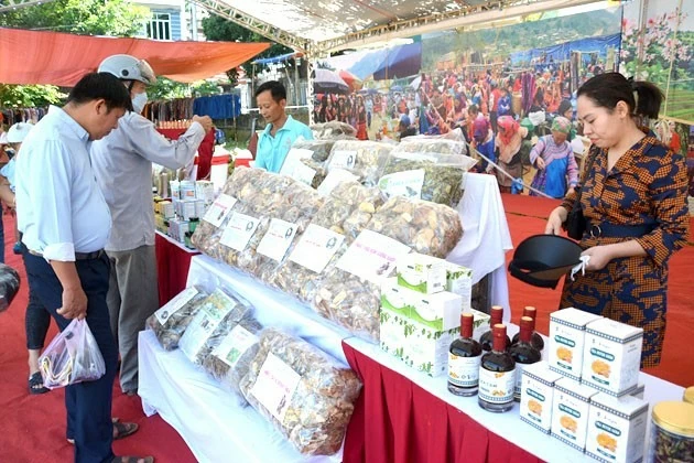 (Nguồn: Báo Hòa Bình) (Nguồn: Báo Hòa Bình)
