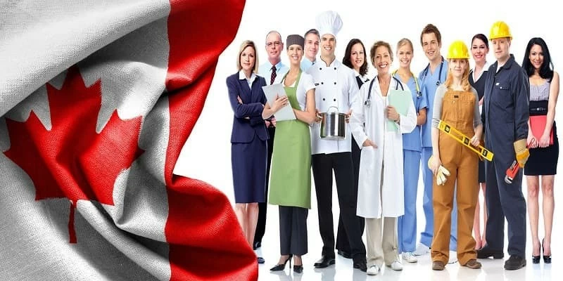 Đa dạng diện định cư tại Canada để đương đơn lựa chọn Đa dạng diện định cư tại Canada để đương đơn lựa chọn