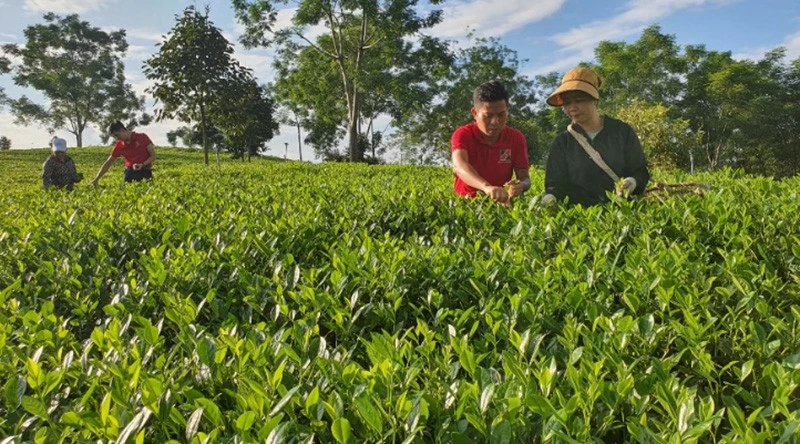 Agribank chủ động và tích cực đầu tư phát triển nông nghiệp sạch, nông nghiệp công nghệ cao Agribank chủ động và tích cực đầu tư phát triển nông nghiệp sạch, nông nghiệp công nghệ cao
