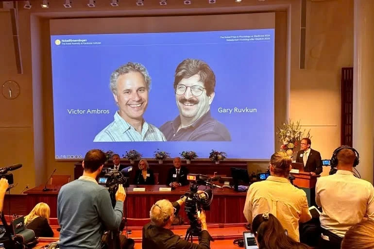 Hai nhà khoa học đoạt giải Nobel Y học 2024 xuất hiện trên màn hình trong lễ công bố. Ảnh: Gettyimages Hai nhà khoa học đoạt giải Nobel Y học 2024 xuất hiện trên màn hình trong lễ công bố. Ảnh: Gettyimages
