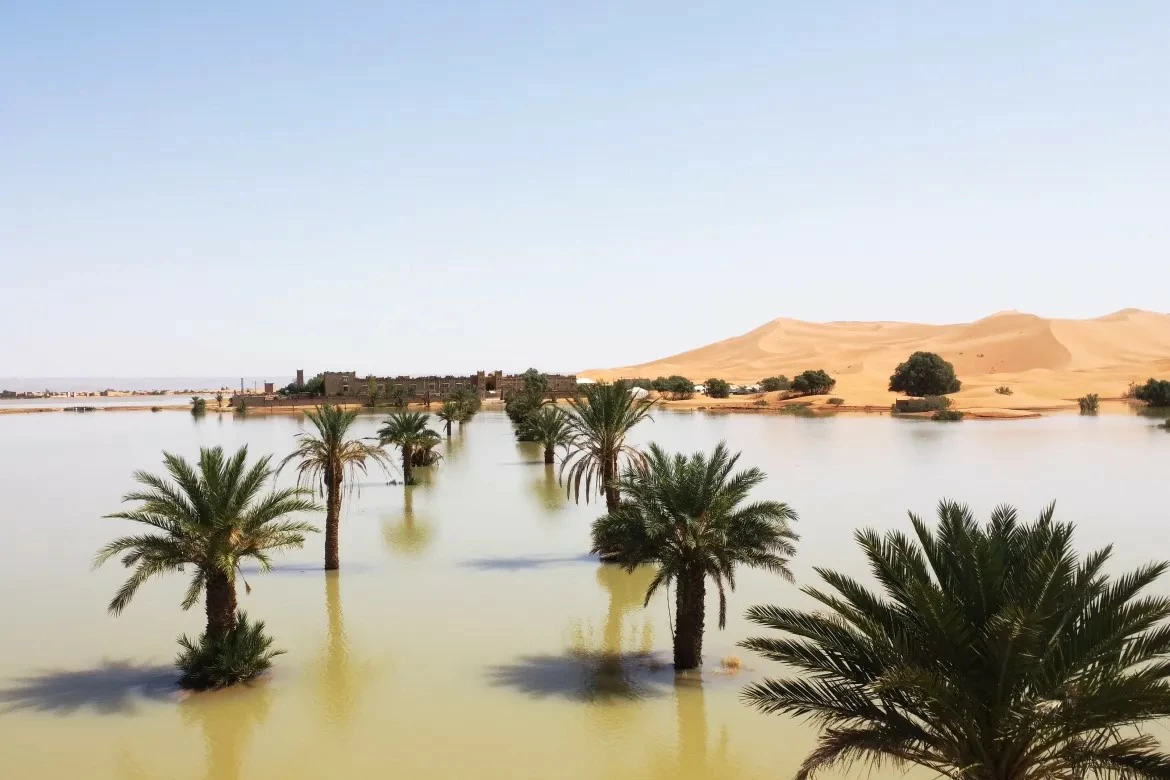 Nguồn nước dồi dào xuất hiện tại Sahara, sa mạc khô cằn nhất thế giới Nguồn nước dồi dào xuất hiện tại Sahara, sa mạc khô cằn nhất thế giới