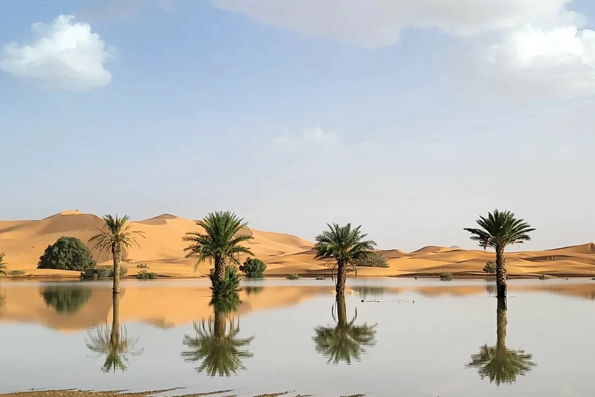Nguồn nước dồi dào xuất hiện tại Sahara, sa mạc khô cằn nhất thế giới Nguồn nước dồi dào xuất hiện tại Sahara, sa mạc khô cằn nhất thế giới