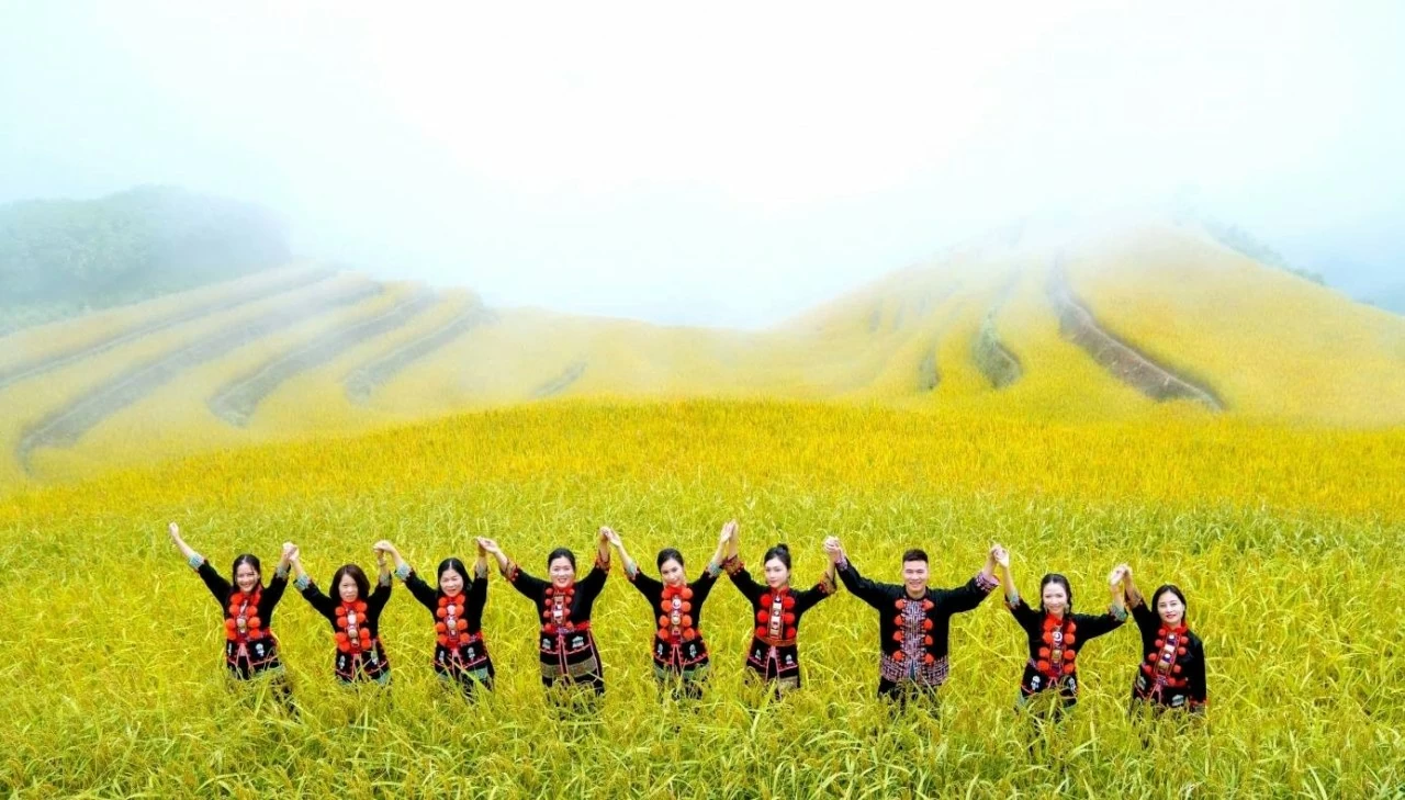 Du khách đến chụp ảnh với lúa ở Khuổi My Du khách đến chụp ảnh với lúa ở Khuổi My