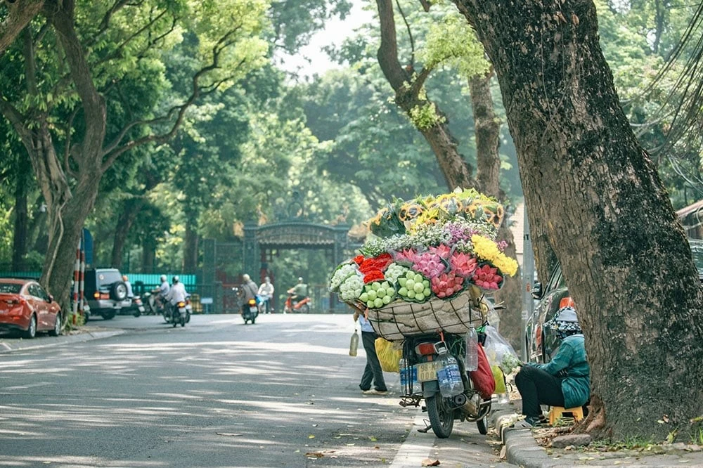 Dự báo thời tiết ngày 13/10: Bắc Bộ sương mù, nắng hanh, Nam Bộ mưa rào Dự báo thời tiết ngày 13/10: Bắc Bộ sương mù, nắng hanh, Nam Bộ mưa rào