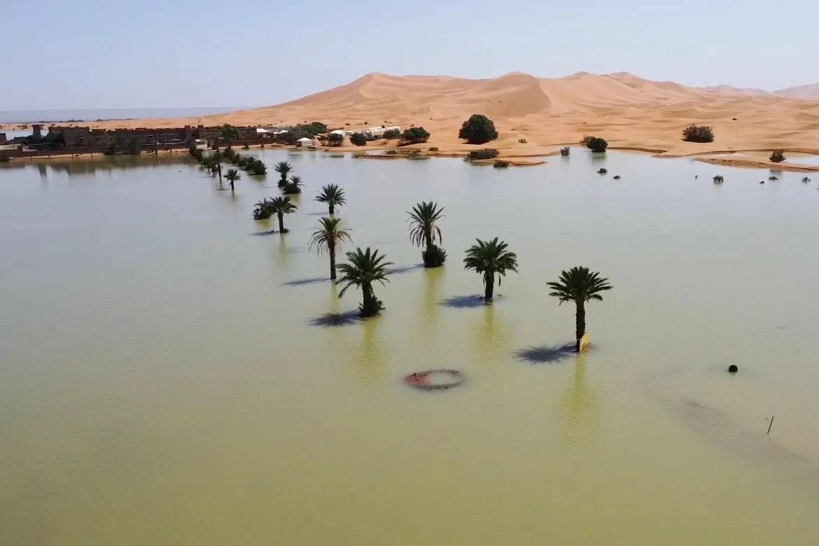 Sa mạc Sahara mưa lớn đột xuất báo hiệu thời tiết khắc nghiệt bất thường