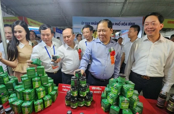 Bí thư Tỉnh ủy Nguyễn Phi Long (áo xanh) cùng các đại biểu thăm gian hàng (Ảnh: Thu Hường) Bí thư Tỉnh ủy Nguyễn Phi Long (áo xanh) cùng các đại biểu thăm gian hàng (Ảnh: Thu Hường)