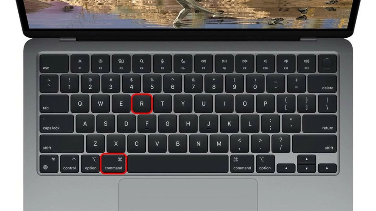 Lấy lại, đổi mật khẩu khi quên mật khẩu Macbook hiệu quả Lấy lại, đổi mật khẩu khi quên mật khẩu Macbook hiệu quả