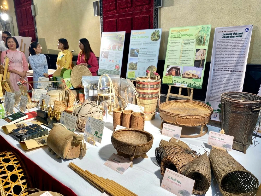 Tôn vinh những đóng góp vô giá của các nhà nghiên cứu Tây Ban Nha và Việt Nam trong lĩnh vực lâm nghiệp và biến đổi khí hậu