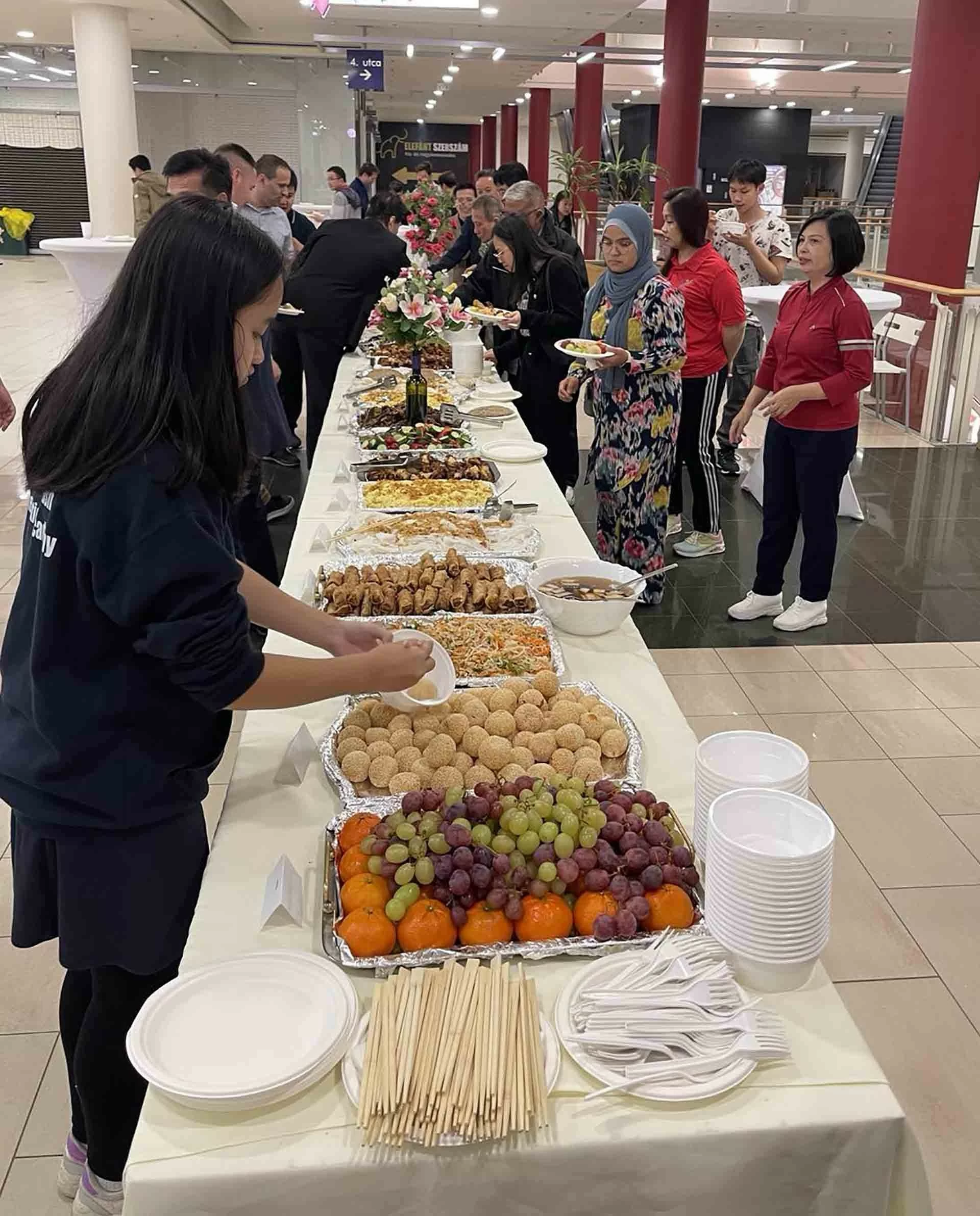 Giao lưu văn hóa, thể thao ASEAN tại Hungary Giao lưu văn hóa, thể thao ASEAN tại Hungary