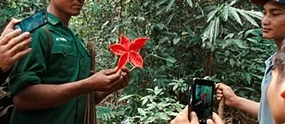 Liên hoan phim tài liệu về phát triển bền vững: Lên tiếng cho mai sau Liên hoan phim tài liệu về phát triển bền vững: Lên tiếng cho mai sau
