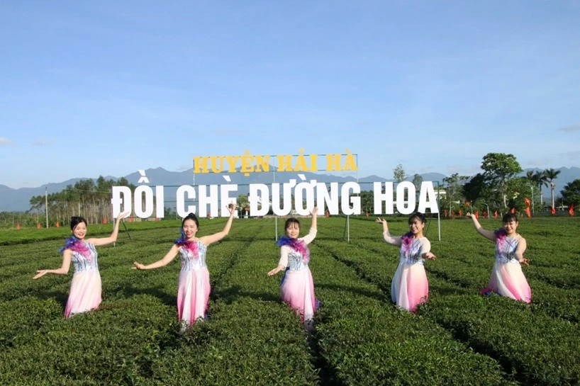 Địa điểm đồi chè thu hút nhiều người dân, du khách hào hứng check-in. Địa điểm đồi chè thu hút nhiều người dân, du khách hào hứng check-in.
