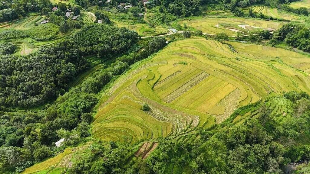 Ruộng bậc thang Miền Đồi - Viên ngọc thô vùng sơn cước chờ tỏa sáng. Ảnh: Nguyễn Huy Tiến Ruộng bậc thang Miền Đồi - Viên ngọc thô vùng sơn cước chờ tỏa sáng. Ảnh: Nguyễn Huy Tiến