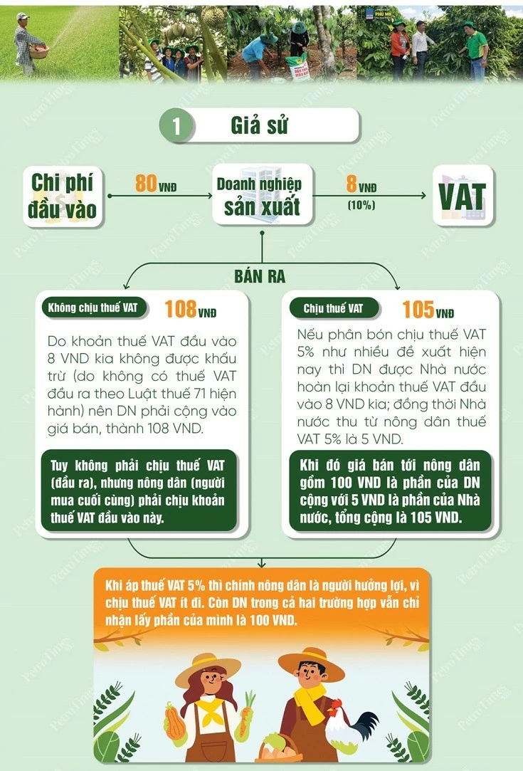 Tại sao áp thuế giá trị gia tăng 5% giá phân bón lại giảm? PetroVietnam phân tích nghịch lý trên thị trường phân bón: Tại sao áp thuế giá trị gia tăng 5% giá lại giảm?
