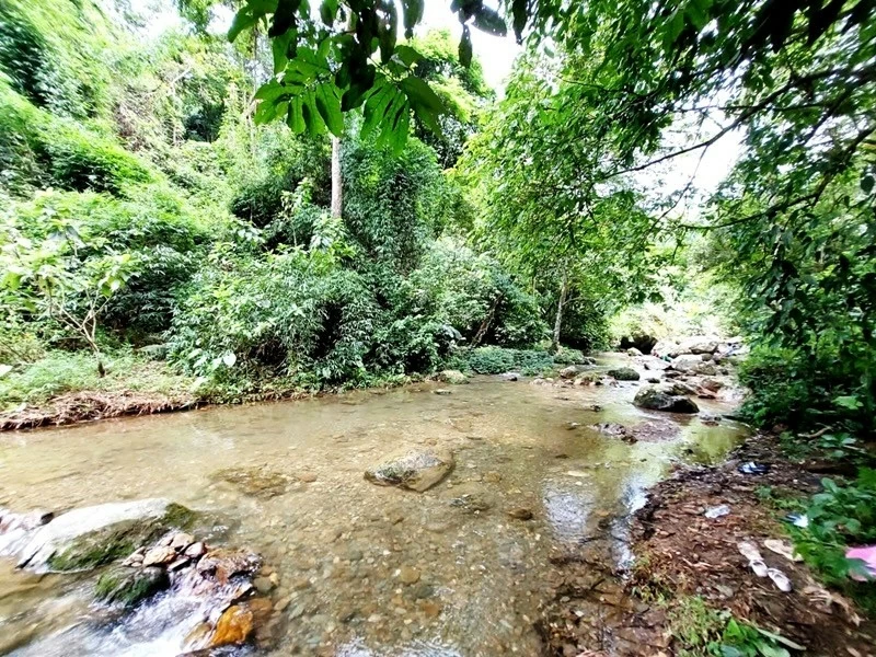 Hà Nội: Ngắm vẻ đẹp thơ mộng của thác Ao Vua trên núi Tản Hà Nội: Ngắm vẻ đẹp thơ mộng của thác Ao Vua trên núi Tản