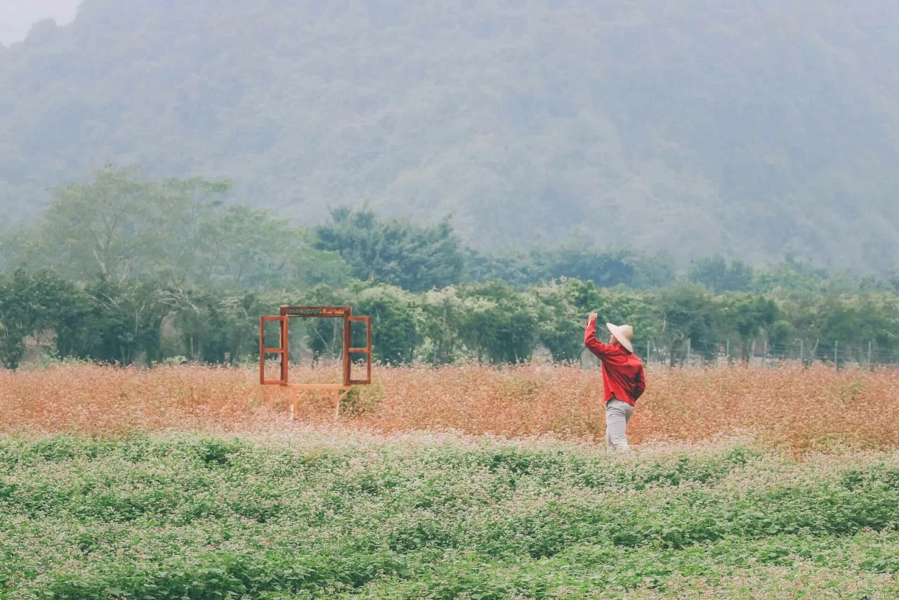 Thung Nham: Bức tranh thiên nhiên sống động trong lòng Tràng An Thung Nham: Bức tranh thiên nhiên sống động trong lòng Tràng An