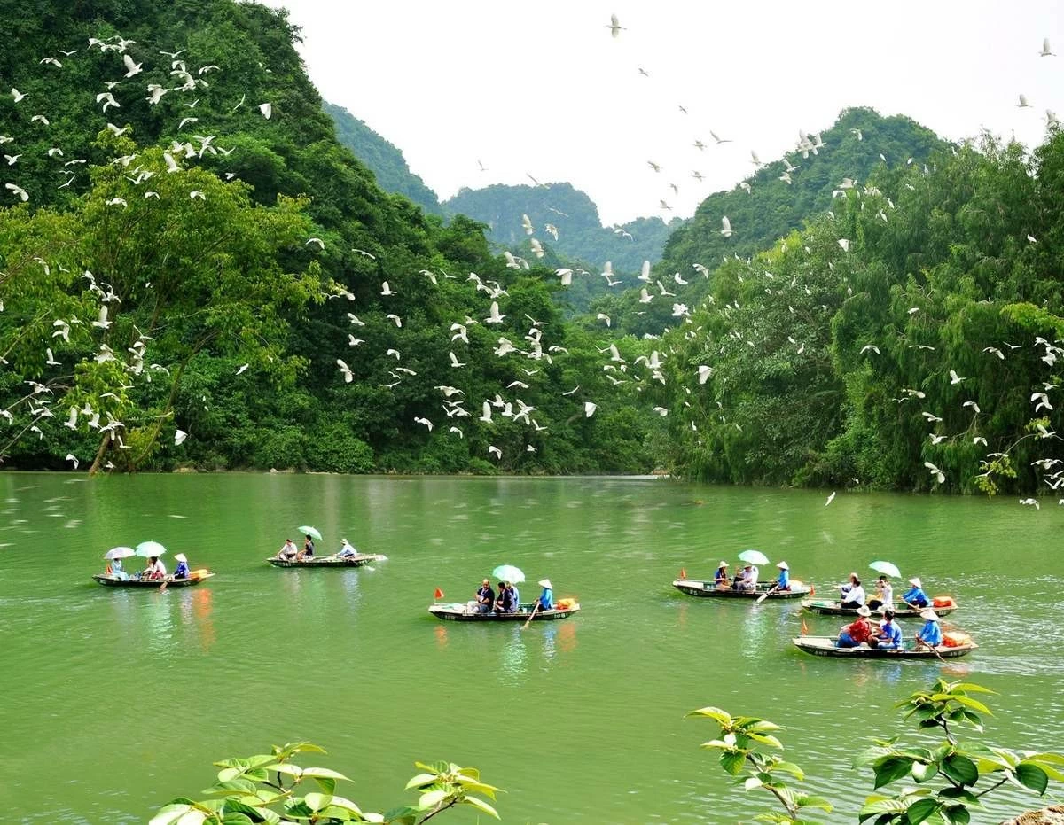 Thung Nham: Bức tranh thiên nhiên sống động trong lòng Tràng An Thung Nham: Bức tranh thiên nhiên sống động trong lòng Tràng An