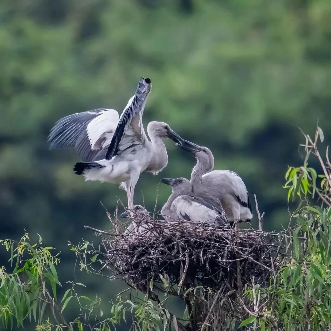 Thung Nham: Bức tranh thiên nhiên sống động trong lòng Tràng An Thung Nham: Bức tranh thiên nhiên sống động trong lòng Tràng An