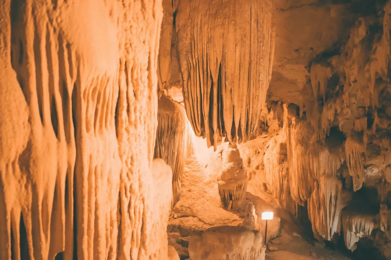 Thung Nham: Bức tranh thiên nhiên sống động trong lòng Tràng An Thung Nham: Bức tranh thiên nhiên sống động trong lòng Tràng An
