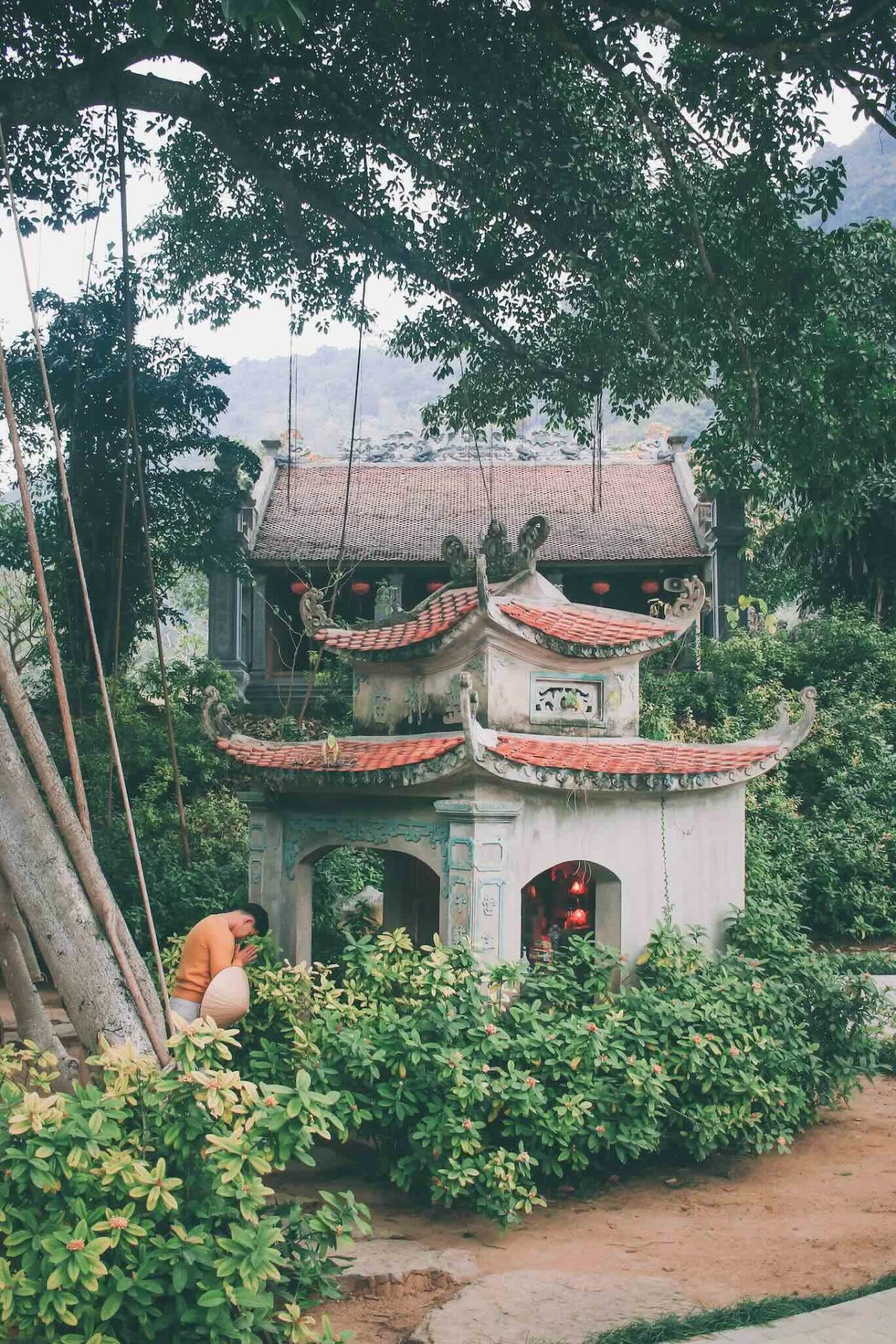 Thung Nham: Bức tranh thiên nhiên sống động trong lòng Tràng An Thung Nham: Bức tranh thiên nhiên sống động trong lòng Tràng An