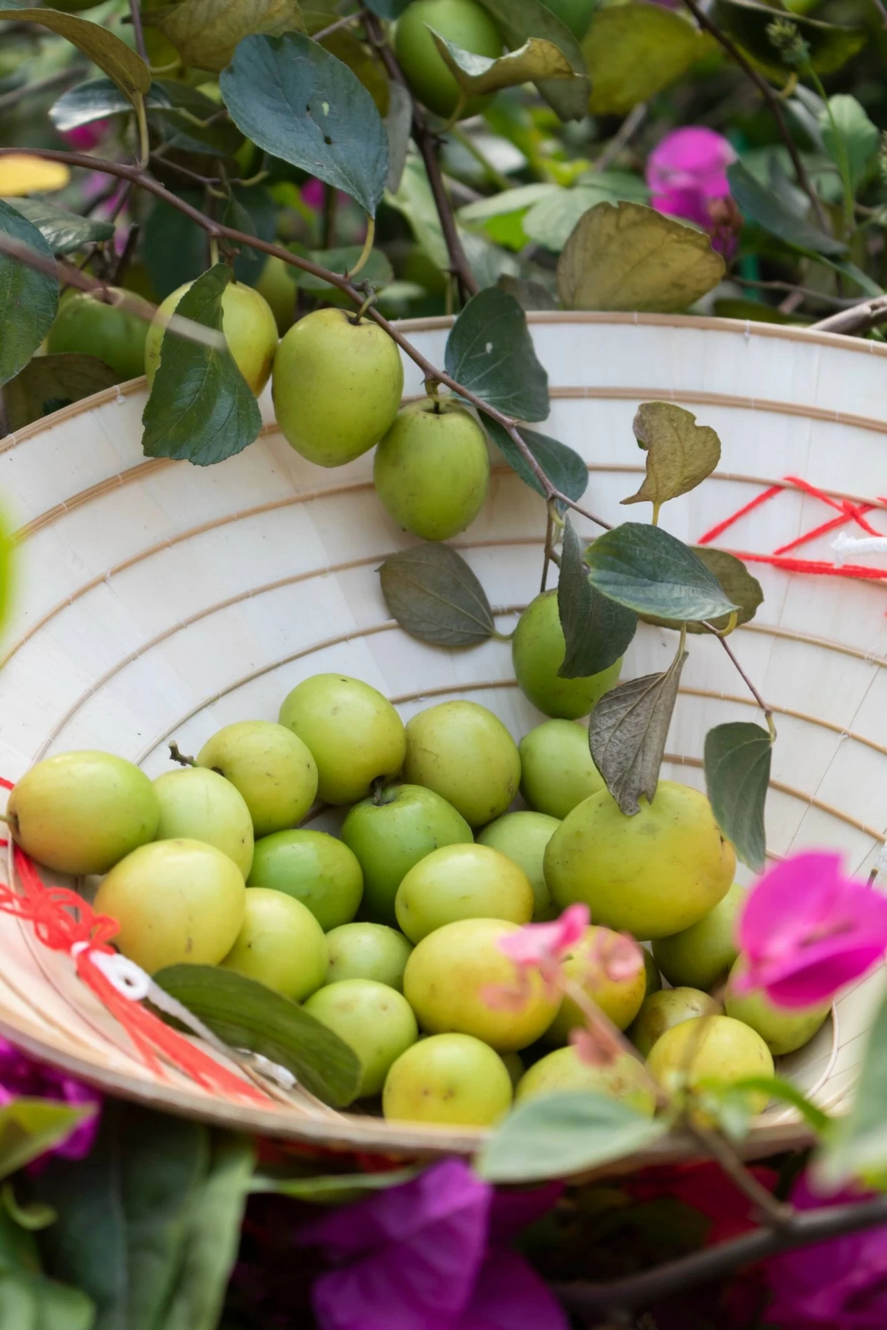 Thung Nham: Bức tranh thiên nhiên sống động trong lòng Tràng An Thung Nham: Bức tranh thiên nhiên sống động trong lòng Tràng An