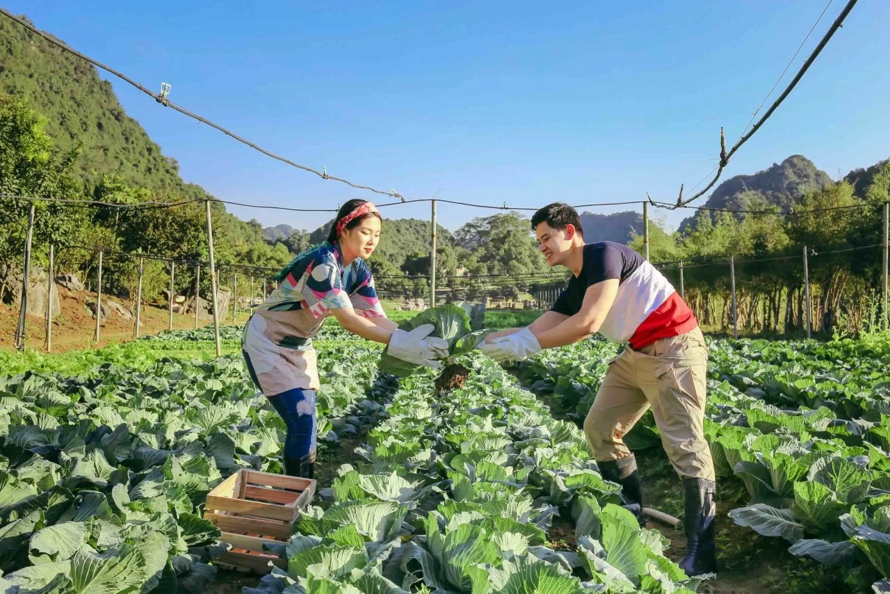 Thung Nham: Bức tranh thiên nhiên sống động trong lòng Tràng An Thung Nham: Bức tranh thiên nhiên sống động trong lòng Tràng An