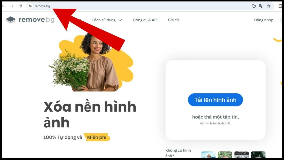 Hướng dẫn sử dụng Remove BG xóa phông ảnh online tiện lợi Hướng dẫn sử dụng Remove BG xóa phông ảnh online tiện lợi