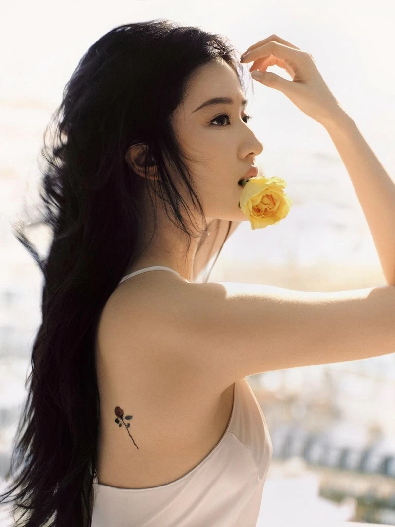 Lưu Diệc Phi Lưu Diệc Phi