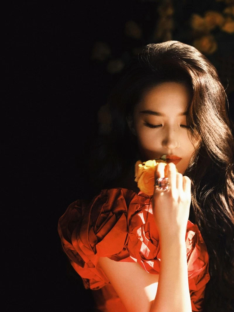 Lưu Diệc Phi Lưu Diệc Phi