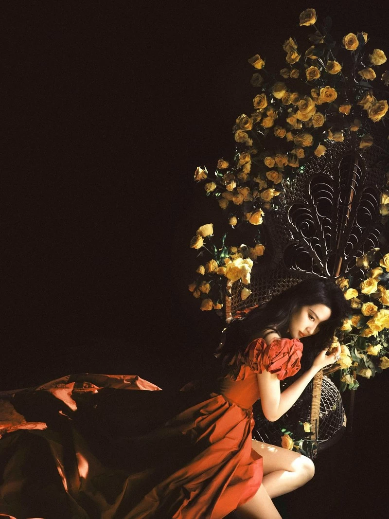 Lưu Diệc Phi Lưu Diệc Phi