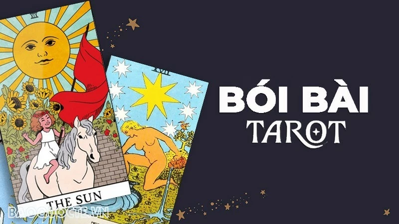 Bài tarot hôm nay 24/11: Tuần này của bạn có gì đáng chú ý?