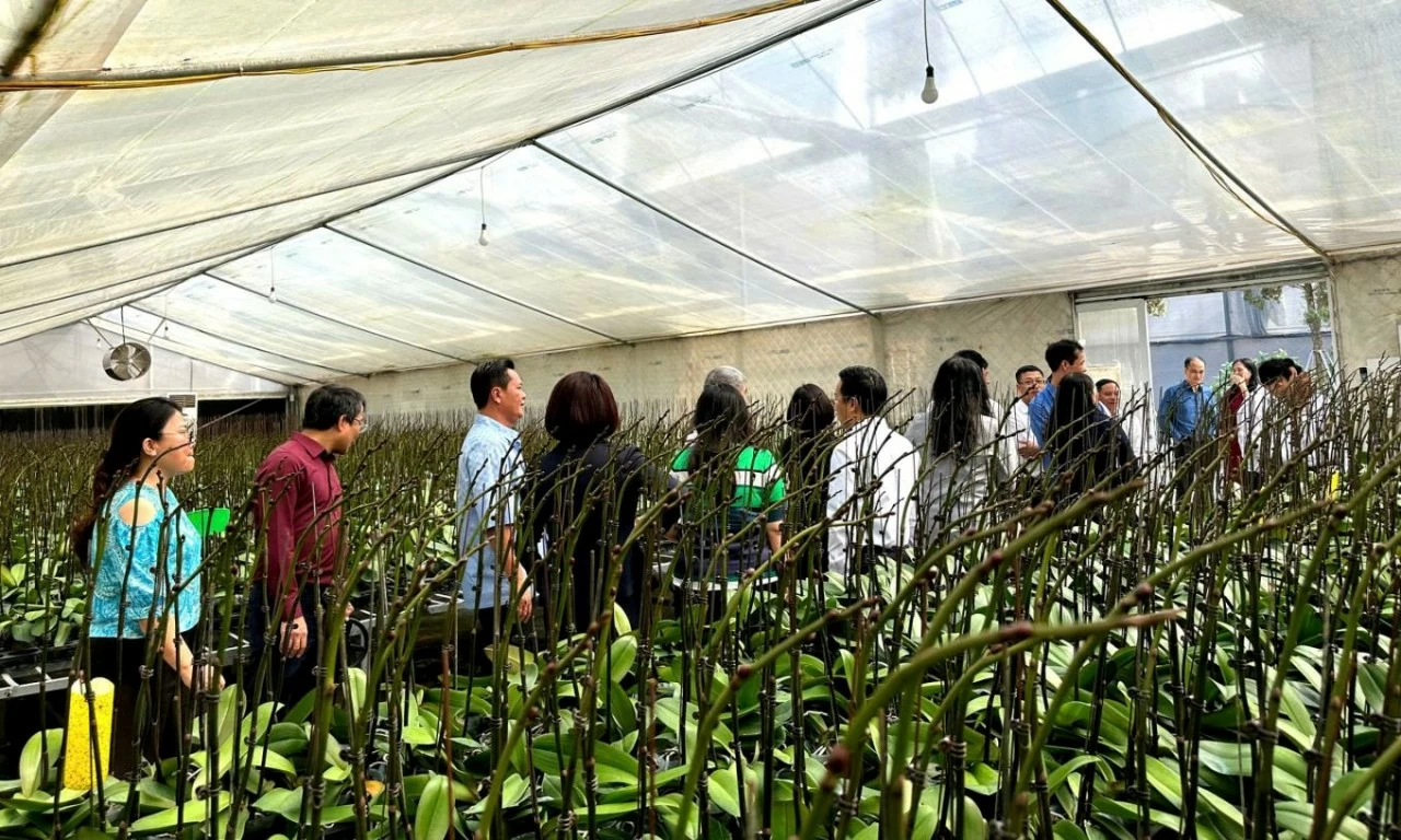 Không khí ấm áp tình nghĩa xóm của ‘Ngày hội đại đoàn kết toàn dân tộc năm 2024’ Không khí ấm áp tình nghĩa xóm của ‘Ngày hội đại đoàn kết toàn dân tộc năm 2024’