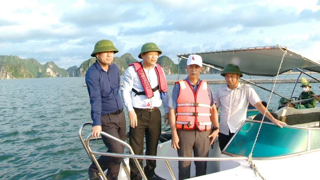 Gỡ 'thẻ vàng' IUU: Quảng Ninh chung tay cùng cả nước bảo vệ uy tín, vị thế, hình ảnh của quốc gia Gỡ 'thẻ vàng' IUU: Quảng Ninh chung tay cùng cả nước bảo vệ uy tín, vị thế, hình ảnh của quốc gia
