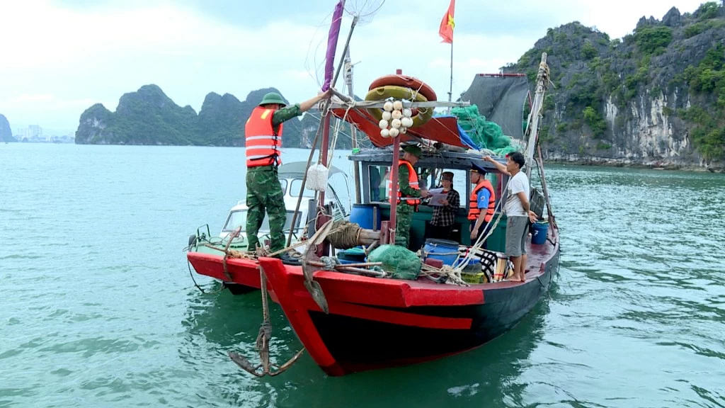 Gỡ 'thẻ vàng' IUU: Quảng Ninh chung tay cùng cả nước bảo vệ uy tín, vị thế, hình ảnh của quốc gia Gỡ 'thẻ vàng' IUU: Quảng Ninh chung tay cùng cả nước bảo vệ uy tín, vị thế, hình ảnh của quốc gia