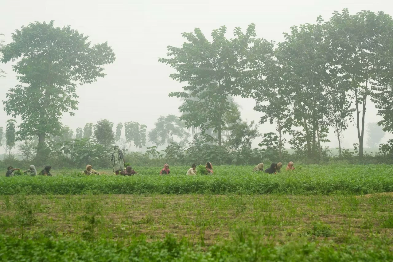 Người dân Pakistan chật vật dưới khói mù do ô nhiễm không khí Người dân Pakistan chật vật dưới khói mù do ô nhiễm không khí