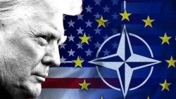 Vết nứt hai bờ Đại Tây Dương