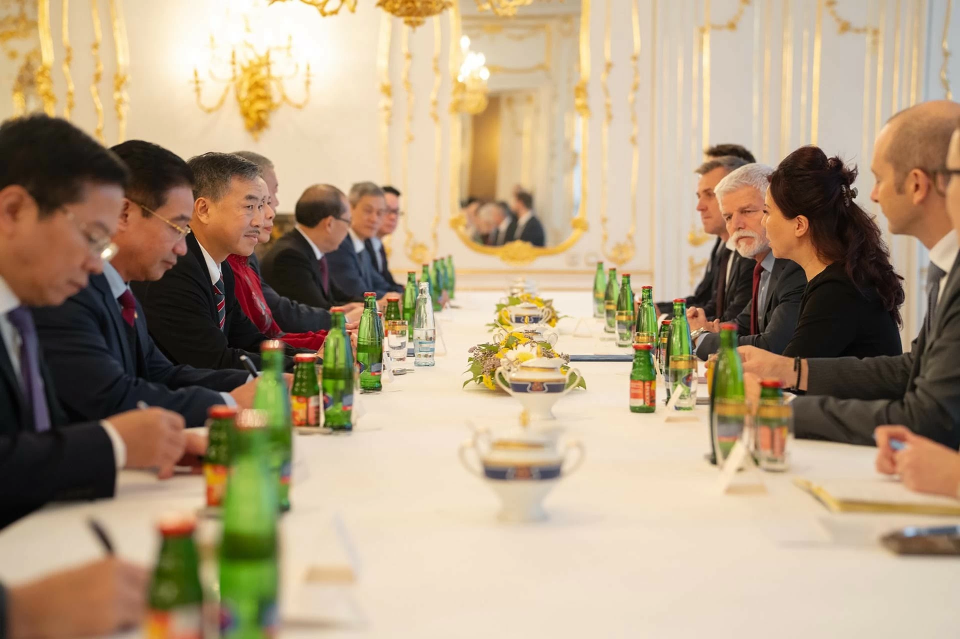 Phó Chủ tịch nước Võ Thị Ánh Xuân hội kiến Tổng thống Cộng hòa Czech Petr Pavel Phó Chủ tịch nước Võ Thị Ánh Xuân hội kiến Tổng thống Cộng hòa Czech Petr Pavel