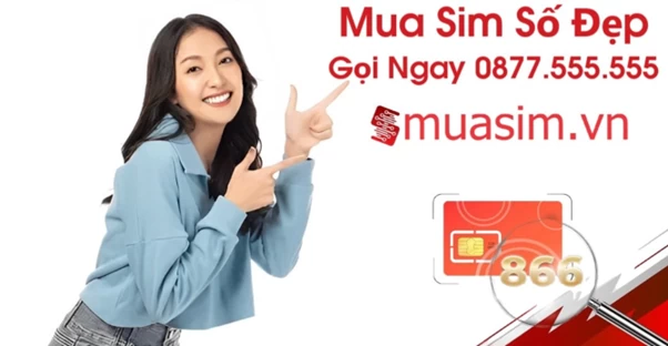 Lý do khiến bạn nên chọn công ty bán sim để mua sim để tránh rủi ro Lý do khiến bạn nên chọn công ty bán sim để tránh rủi ro